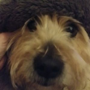 Meet your Posher, Deana